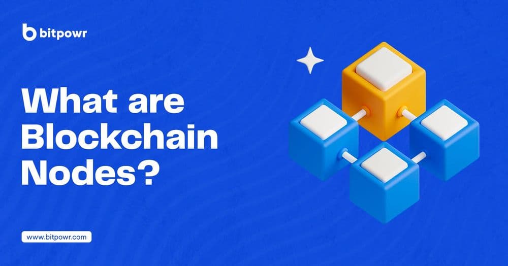 What are Blockchain Nodes?