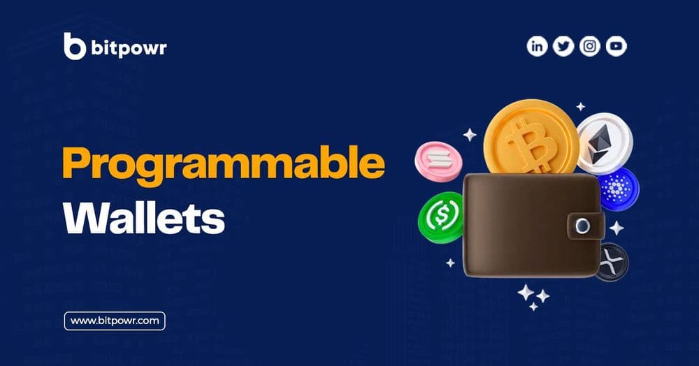 Programmable Wallets